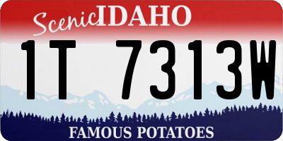 ID license plate 1T7313W