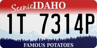 ID license plate 1T7314P