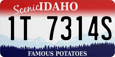 ID license plate 1T7314S