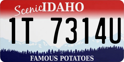 ID license plate 1T7314U
