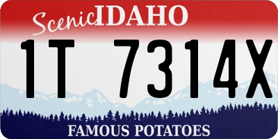 ID license plate 1T7314X