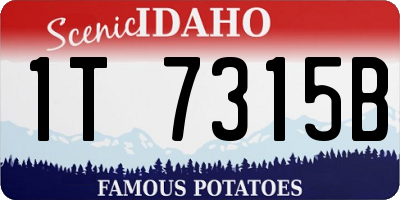 ID license plate 1T7315B