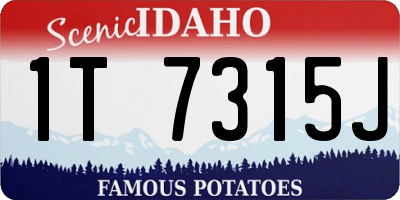 ID license plate 1T7315J
