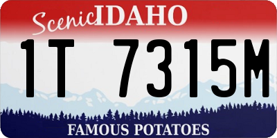 ID license plate 1T7315M