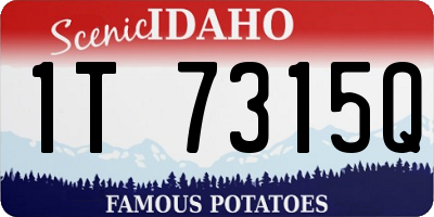 ID license plate 1T7315Q