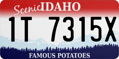 ID license plate 1T7315X