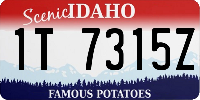 ID license plate 1T7315Z