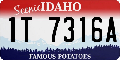 ID license plate 1T7316A