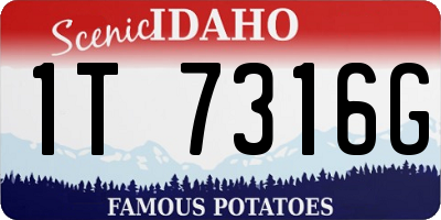 ID license plate 1T7316G