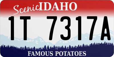ID license plate 1T7317A
