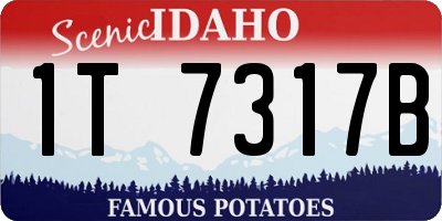 ID license plate 1T7317B