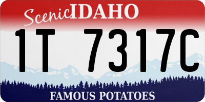 ID license plate 1T7317C