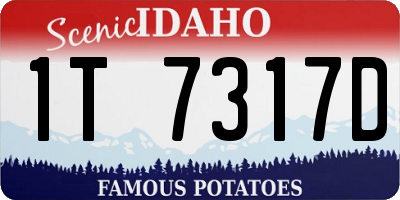 ID license plate 1T7317D