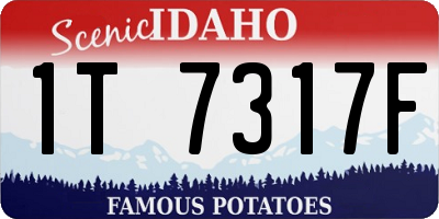 ID license plate 1T7317F