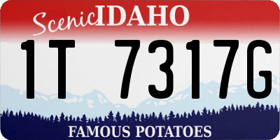 ID license plate 1T7317G