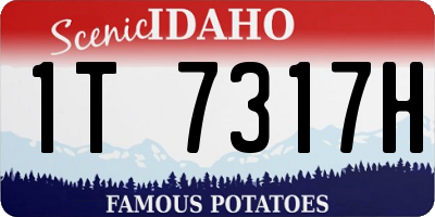 ID license plate 1T7317H