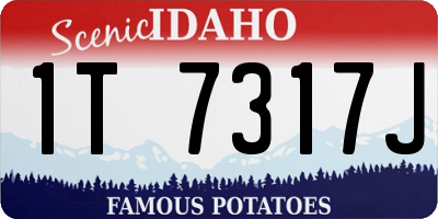 ID license plate 1T7317J