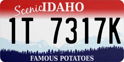 ID license plate 1T7317K
