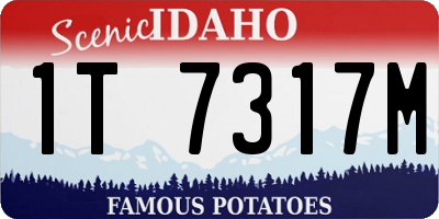 ID license plate 1T7317M