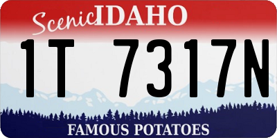 ID license plate 1T7317N