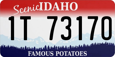 ID license plate 1T7317O
