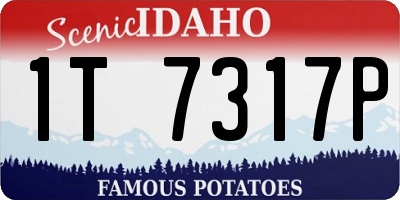 ID license plate 1T7317P