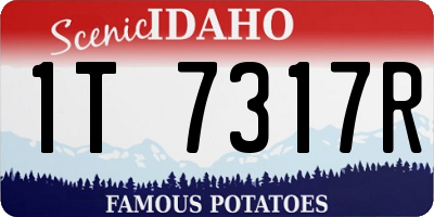 ID license plate 1T7317R