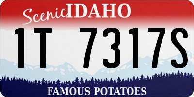 ID license plate 1T7317S