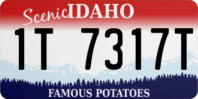 ID license plate 1T7317T
