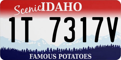 ID license plate 1T7317V