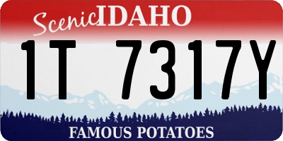 ID license plate 1T7317Y