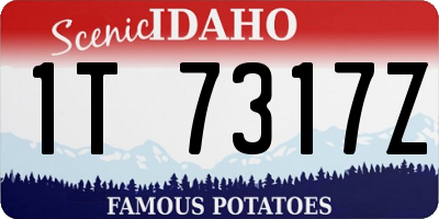 ID license plate 1T7317Z