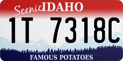 ID license plate 1T7318C