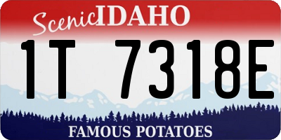 ID license plate 1T7318E