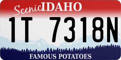 ID license plate 1T7318N