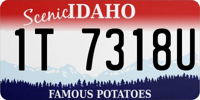 ID license plate 1T7318U