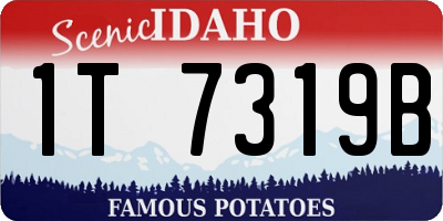 ID license plate 1T7319B