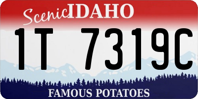 ID license plate 1T7319C