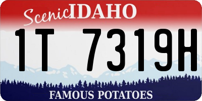 ID license plate 1T7319H