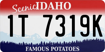 ID license plate 1T7319K