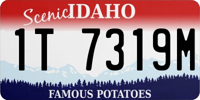 ID license plate 1T7319M
