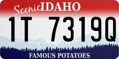 ID license plate 1T7319Q
