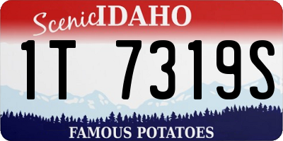 ID license plate 1T7319S