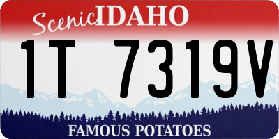 ID license plate 1T7319V