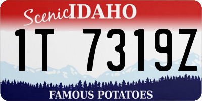 ID license plate 1T7319Z