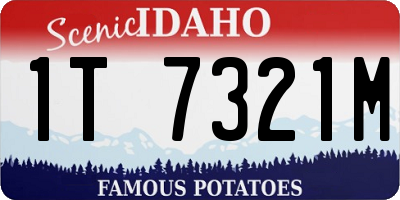 ID license plate 1T7321M