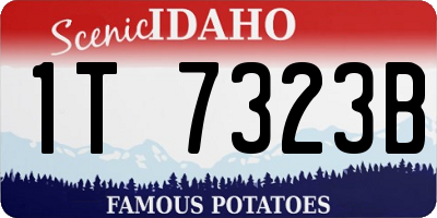 ID license plate 1T7323B