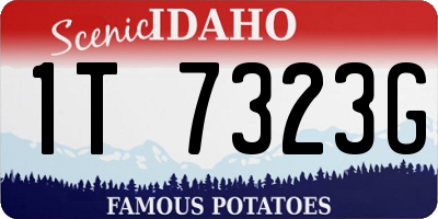 ID license plate 1T7323G