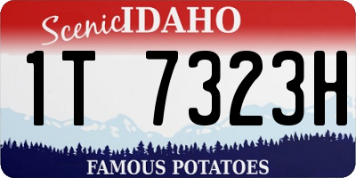 ID license plate 1T7323H