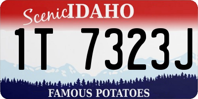 ID license plate 1T7323J
